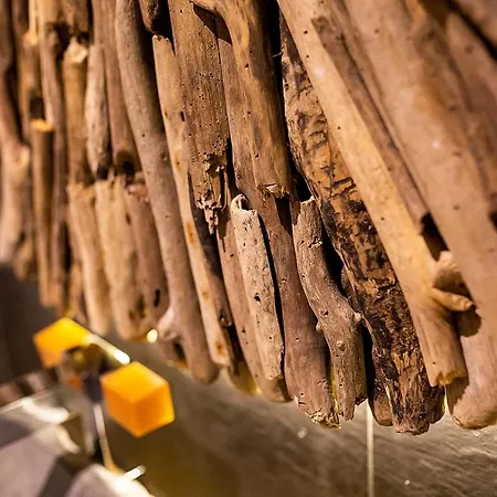 宾馆 Hospederia Casa Martell 达洛卡