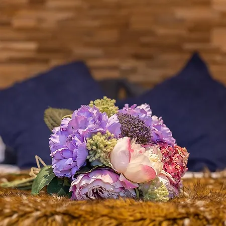 Hospederia Casa Martell 宾馆 达洛卡