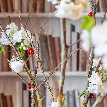 宾馆 Hospederia Casa Martell 达洛卡