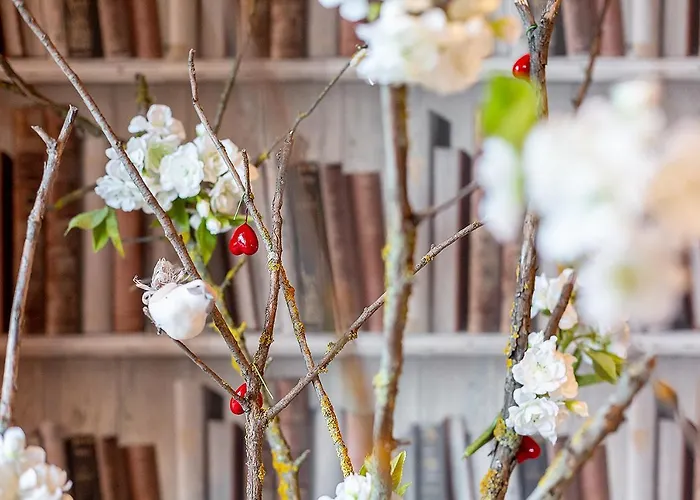 宾馆 Hospederia Casa Martell 达洛卡